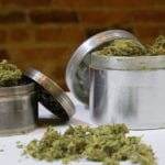 best weed grinders featured image