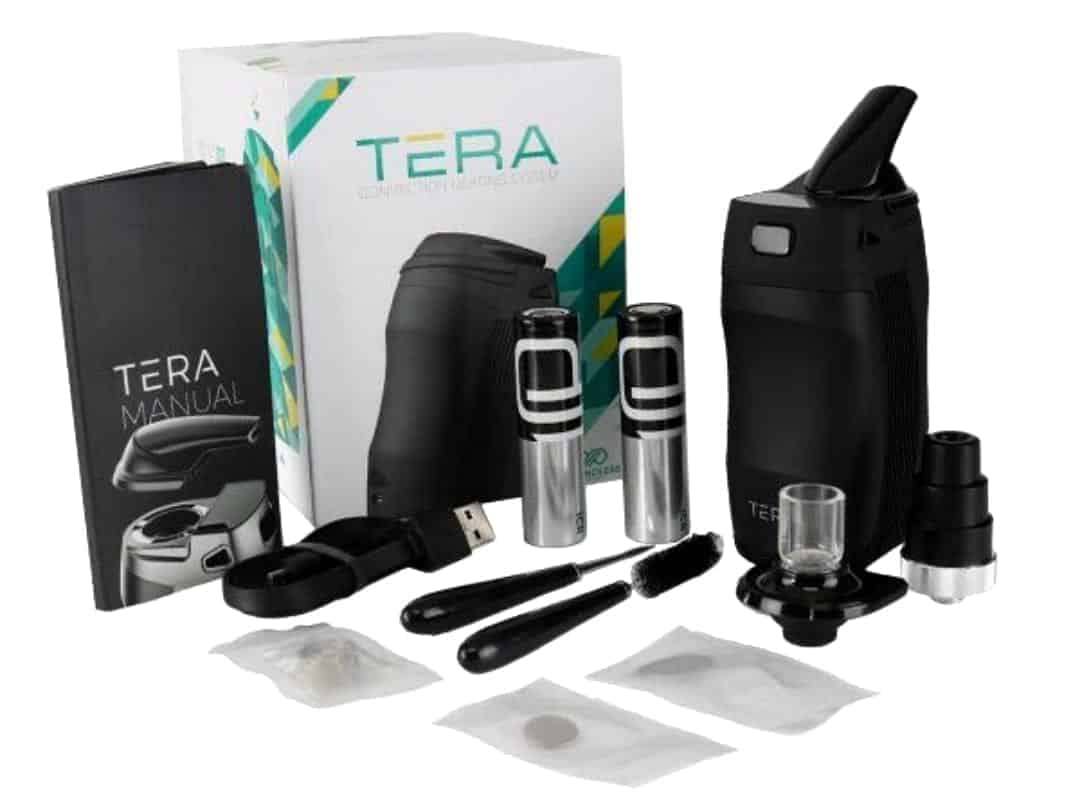 Boundless Tera featured image