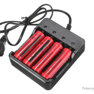 Universal 4-Slot Li-ion Rechargeable Battery Charger (EU)