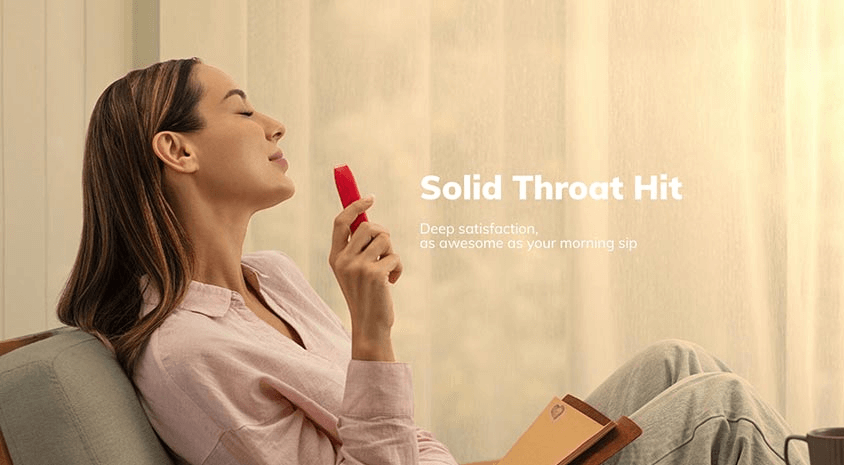 New Geekbar Disposable Vape throat hit image