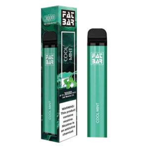 Fat Flow Bar Cube - Disposable Vape Device - Cool Mint - Single / 50mg