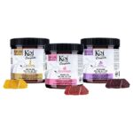 Koi Complete Full Spectrum Δ9 CBD Gummies - 20 Count Jar (Choose Flavor)
