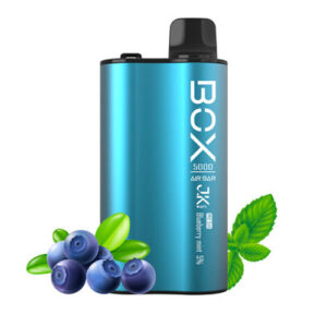 Air Box 5K - Disposable Vape Device - Blueberry Mint - Single, 7ml