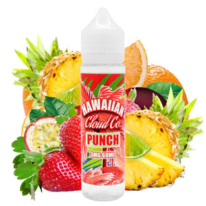 Hawaiian Cloud Co - Punch - 120ml / 0mg