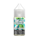 MINTS Vape Co. SALTS - Wintergreen - 30ml / 30mg