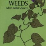 All about Weeds by Edwin R. Spencer