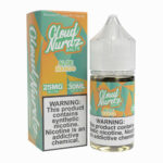 Cloud Nurdz TFN SALTS - Aloe Mango - 30ml / 25mg