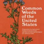 Common Weeds of the United States by U. S. Department of Agriculture Staff