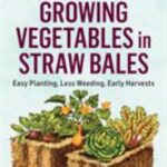 Growing Vegetables in Straw Bales : Easy Planting, Less Weeding, Early Harvests. a Storey Basics® Title by Craig LeHoullier