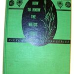 How to Know the Weeds by R. E. Wilkinson