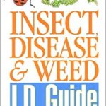 Insect Disease and Weed I. D. Guide : Find It Fast Organic Solutions for Your Garden by Jill Cebenko