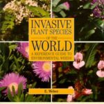 Invasive Plant Species of the World : A Reference Guide to Environmental Weeds by Ewald Weber