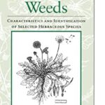 Perennial Weeds : Characteristics and Identification of Selected Herbaceous Species by Wood Powell Anderson