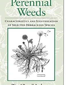 Perennial Weeds : Characteristics and Identification of Selected Herbaceous Species by Wood Powell Anderson