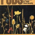 Pods : Wildflowers and Weeds in Their Final Beauty by Jane Embertson