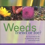 Weeds - Friend or Foe? : An Illustrated Guide to Identifying, Taming and Using Weeds by Sally Roth
