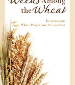 Weeds among the Wheat : Discernment: Where Prayer and Action Meet by , Thomas H. Green S.J.
