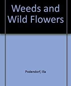 Weeds and Wild Flowers by Illa Podendorf