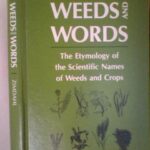 Weeds and Words : The Etymology of the Scientific Names of Weeds and Crops by Robert L. Zimdahl