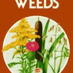Weeds by Alexander C. Martin