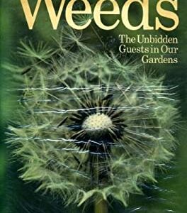 Weeds by Mea Allan