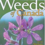 Weeds of Canada and the Northern United States : A Guide for Identification by France, Dickinson, Richard Royer