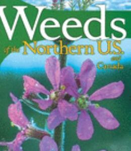 Weeds of the Northern U. S. and Canada : A Guide for Identification by France, Dickinson, Richard Royer