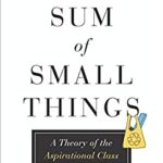 The Sum of Small Things : A Theory of the Aspirational Class by Elizabeth Currid-Halkett