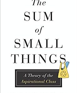 The Sum of Small Things : A Theory of the Aspirational Class by Elizabeth Currid-Halkett