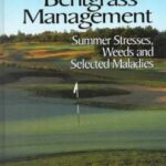 Creeping Bentgrass Management : Summer Stresses, Weeds and Selected Maladies by Peter H. Dernoeden