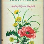 How to Enjoy Your Weeds by Audrey Wynne Hatfield