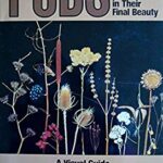 Pods : Wildflowers and Weeds in Their Final Beauty: Great Lakes Region, Northeastern United States, and Adjacent Canada: A Visual Guide from Flower...