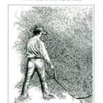 The Scythe Book : Mowing Hay, Cutting Weeds and Harvesting Small Grains with Hand Tools by David Tresemer