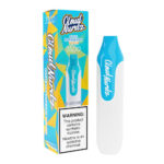 Cloud Nurdz TFN 3500 5.0% - Disposable Vape Device - Blue Raspberry Peach - 10ml / 50mg