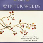 Wildflowers and Winter Weeds by Lauren Brown
