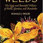 Northwest Weeds : The Ugly and Beautiful Villains of Fields, Gardens, and Roadsides by Ronald J. Taylor