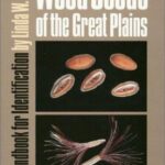 Weed Seeds of the Great Plains : A Handbook for Identification by Linda W. Davis