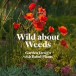 Wild about Weeds : Garden Design with Rebel Plants (Learn How to Design a Sustainable Garden by Letting Weeds Flourish Without Taking Control)