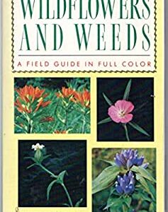 Wildflowers and Weeds by Booth Courtenay