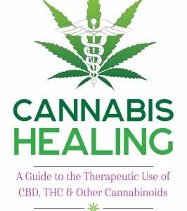 Cannabis Healing : A Guide to the Therapeutic Use of CBD, THC, and Other Cannabinoids by Franjo Grotenhermen