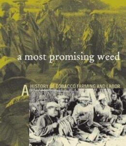 A Most Promising Weed : A History of Tobacco Farming and Labor in Colonial Zimbabwe, 1890-1945 by Steven C. Rubert
